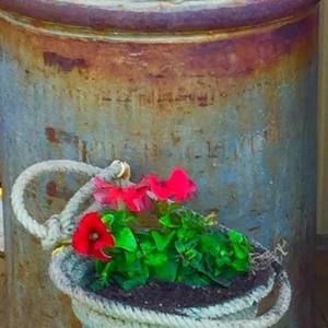 Meet your Posher, Sara